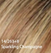 14-263-8-sparkling-champagne
